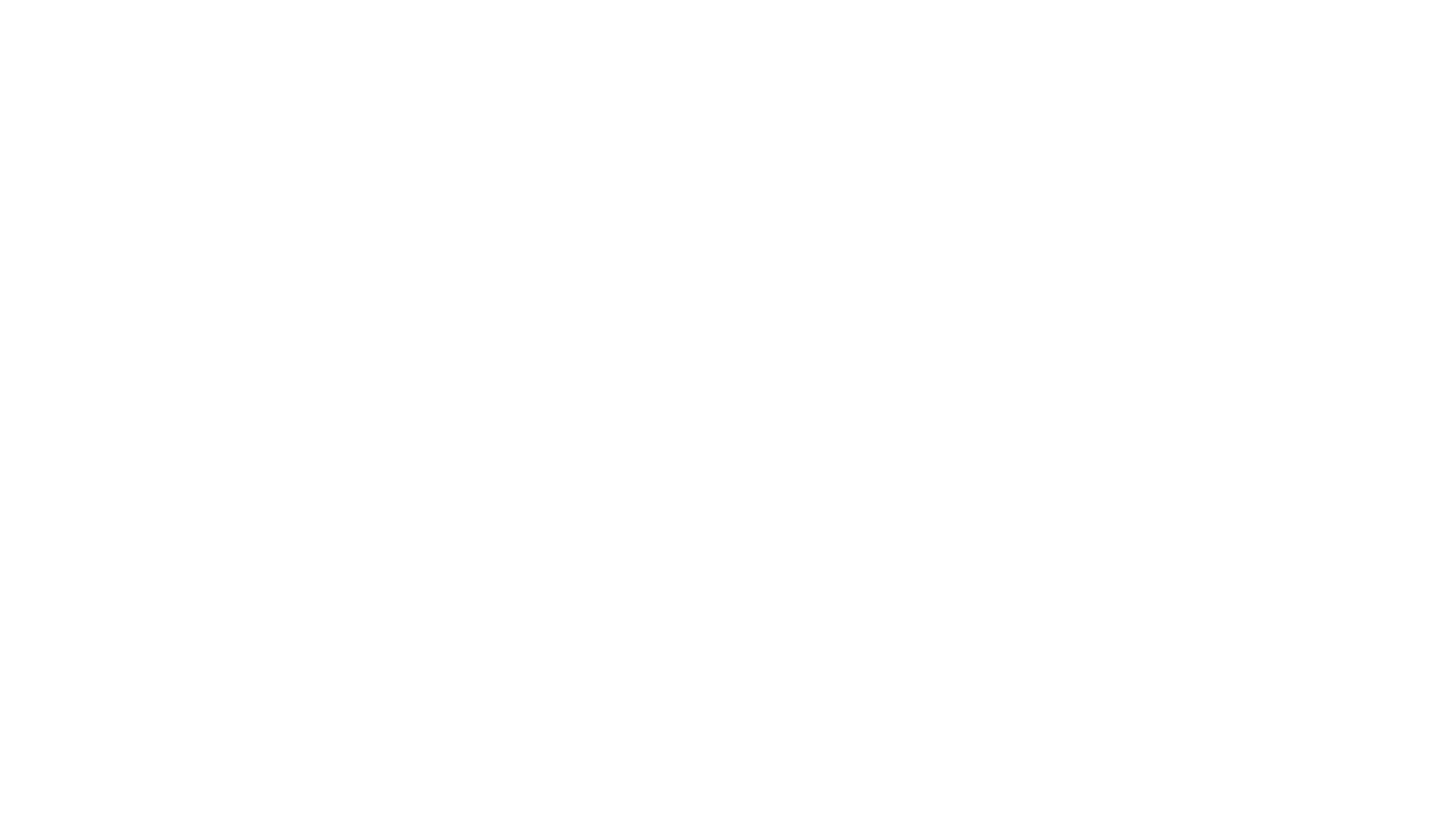 Veep Software Logo